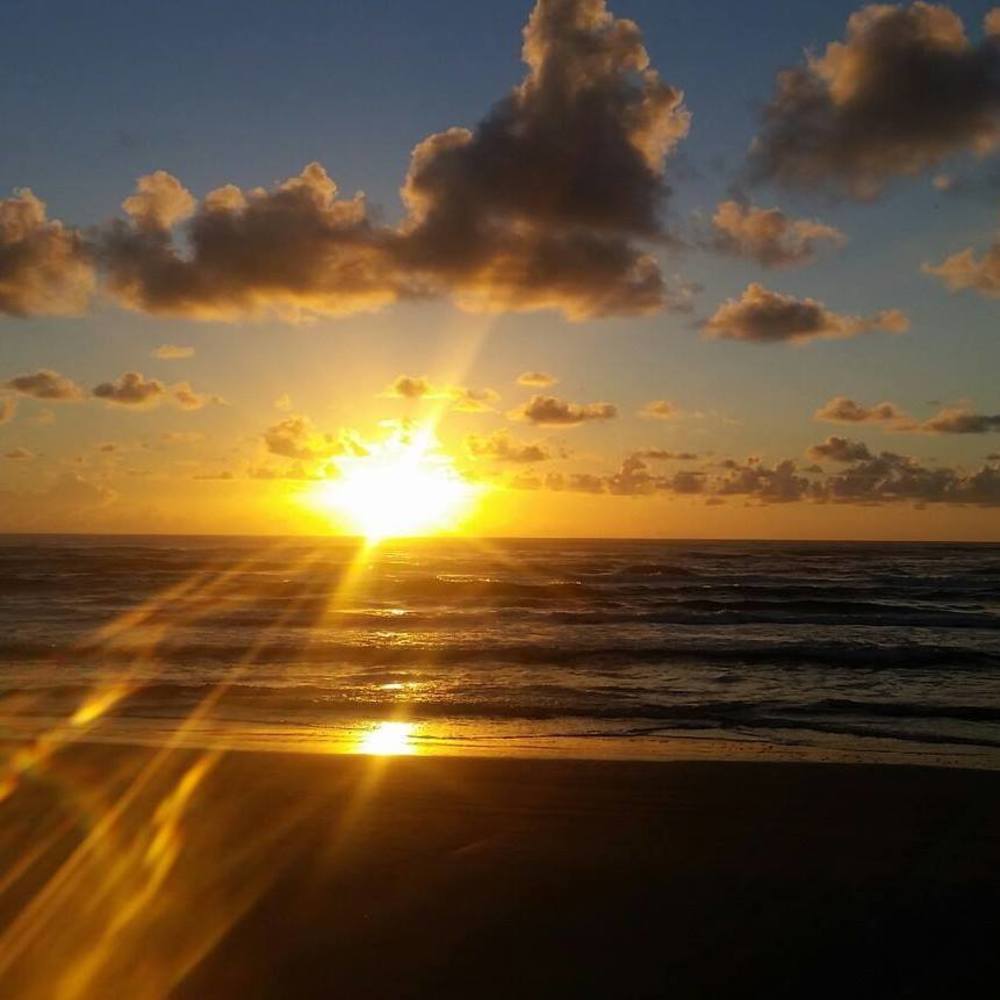 Meet your Posher, Esther